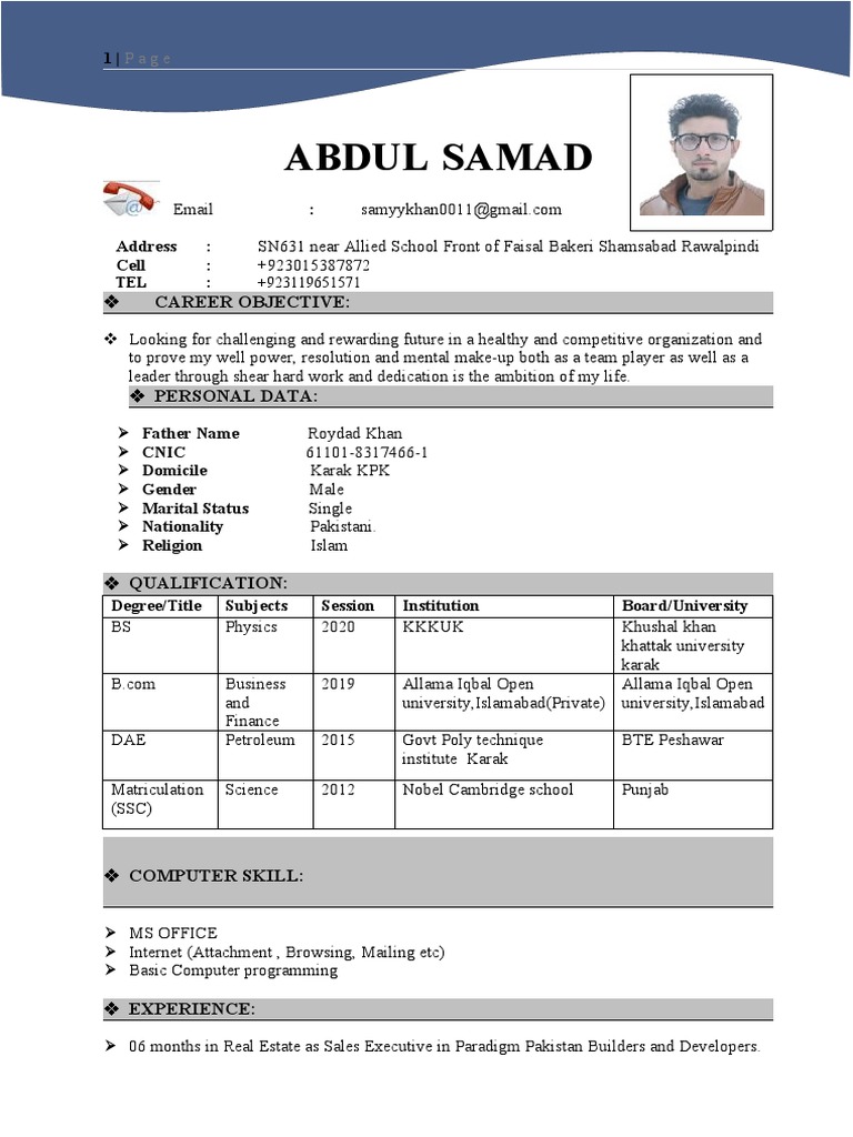 CV Abdul Samad | PDF