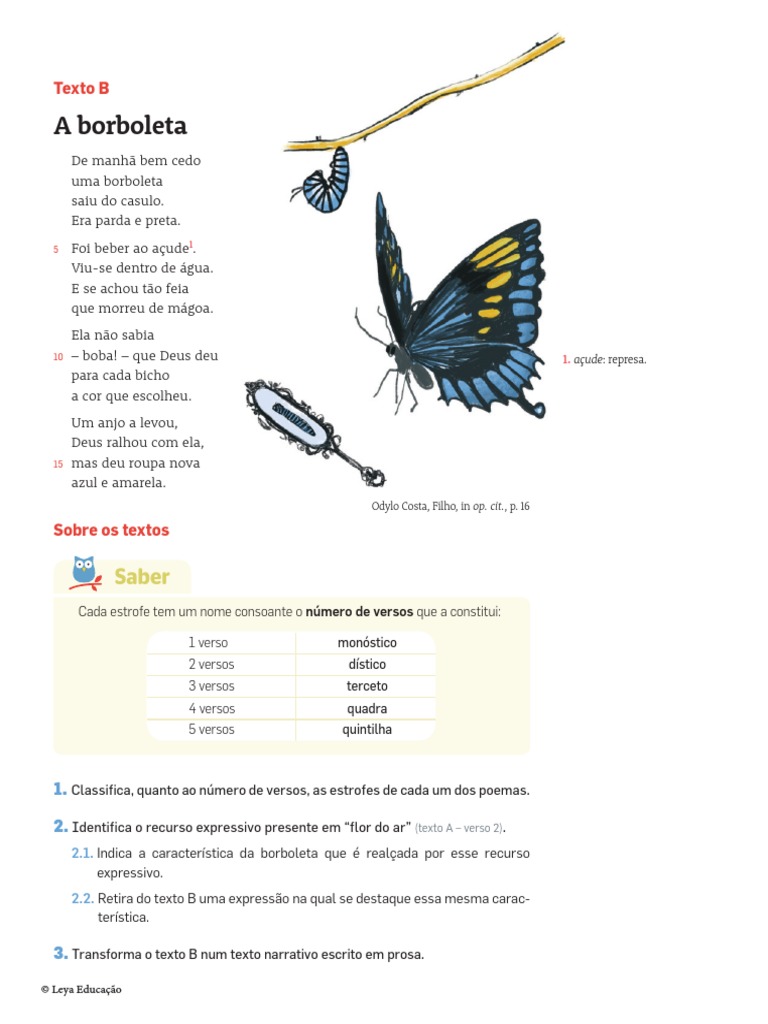(Página 179, Manual) Questionário A Borboleta | PDF