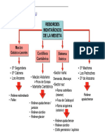 Esquema Rebordes Montanosos