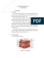 Laporan Pendahuluan Luka Bakar