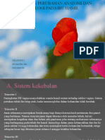 Power Point Perubahan Anatomi Fisiologi