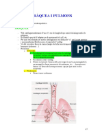 Le Systeme Respiratoire