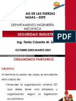 02 Organizacion Minima Sso