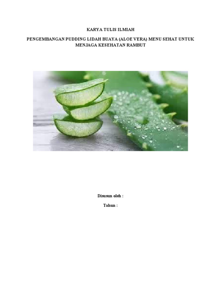 Ppt To Pdf Large Size