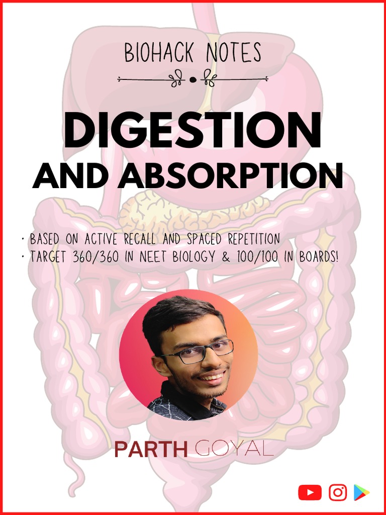 Digestion New BioHack | PDF | Stomach | Gastrointestinal Tract
