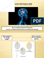 Brain Metabolism F