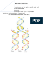 DNA Metabolism: One Strand Is The Complement of The Other