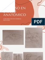 Proceso Dibujo Anatomico