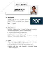 CV Claudia Mercedes Castro Falcón 2021