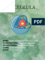 1rBatx-AA-Yadira-Pilatuña-La Cèl Lula