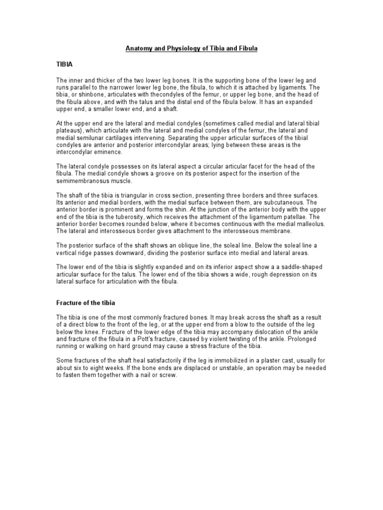 Anatomy and Physiology of Tibia and Fibula | PDF | Musculoskeletal ...