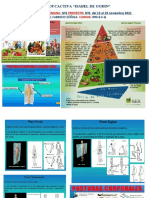 9º Hojas de Refuerzo y Tareas Semana Nº1 Proyecto 3