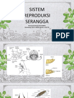 Tugas 7 Ento Khusnul Khotimah KIP2100056 Sistem Reproduksi Serangga