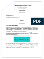 Ã Lgebra. Determinantes y Sistemas Lineales