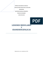 lesiones craneoencefalicas  y medulares