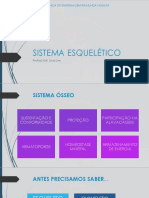 Sistema Ósseo