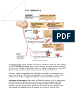 ANATOMY AND PHYSIOLOGY Que Fransis A.