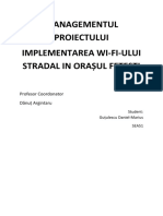 Gutulescu Daniel-Marius SEA 51,managementul proiectului