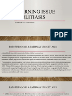 Learning Issue Urolitiasis