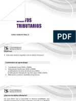 Diapositiva Segunda Sesion Delitos Tributarios