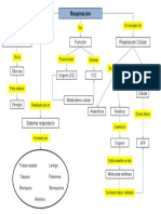 Ciencias Naturales - Tema III - Mapa Conceptual - Sistema Respiratorio en Los Seres Vivos