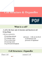 Cell Organelles