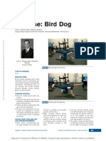 Exercise Bird Dog.13