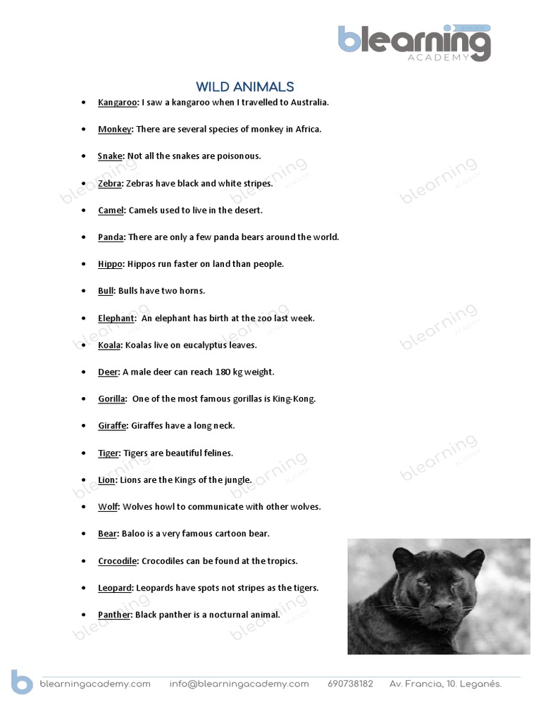 Wild Animals Sentences PDF