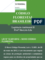 Código Florestal Brasileiro: principais pontos do novo Código