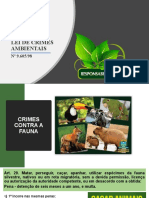 Responsabilidade Penal - Crimes Ambientais