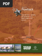 Download FLOWBACK TX-OGAP Health Report by DallasObserver SN54213435 doc pdf