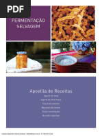 Apostila+de+Receitas+Fermentadas+Dra.+Luiza+Savietto(1)