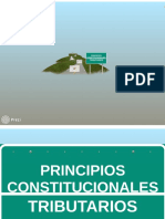 PRINCIPIOS CONSTITUCIONALES