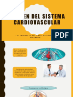 Presentacion Del Sistema Cardiovascular 1° Parte