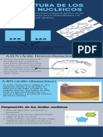 Estructura de Los Acidos Nucleicoa