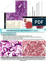 Morfopat Renal