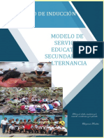 Modulo de Induccion Secundaria en Alterncia Final