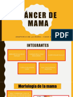 Cáncer de Mama