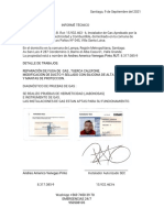 Valle Grande, Informe Técnico Cas 61