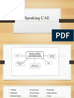 Speaking CAE Environment