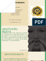 Fases de La Dentición Mixta