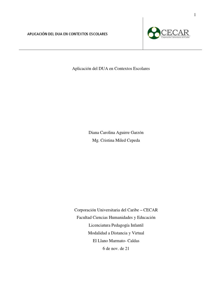 Principios Del Dua Pdf Educación De La Primera Infancia