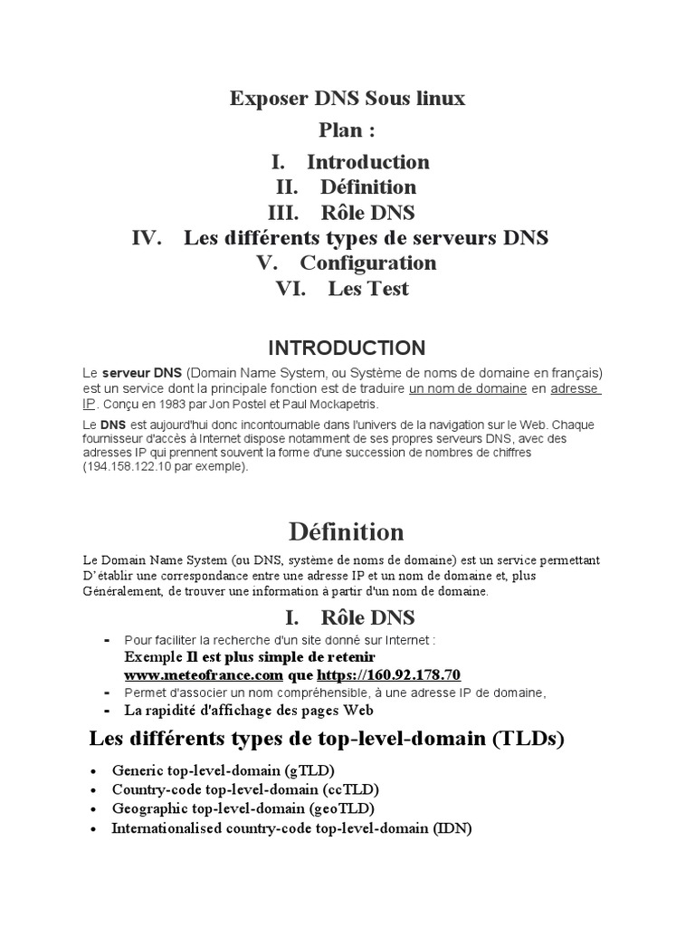 Exposer le DNS sous Linux | PDF | Système de noms de domaines | Nom de ...