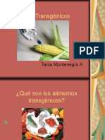 Alimentos Transgenicos