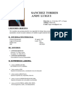CV - Andy Luigui Sanchez Torres