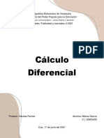 Trabajo Escrito-Calculo Diferencial (Milena García)