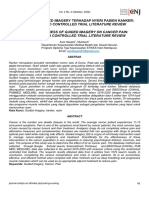 The Effectiveness of Guided Imagery On Cancer Pain: A Randomized Controlled Trial Literature Review