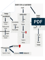 EL NARCISISMO Exposición