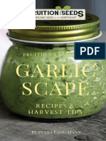 Fruition's Favorite Garlic Scape Recipes & Harvest Tips