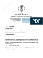 Informe Lecho Fluidiza